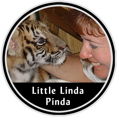 Designer Linda